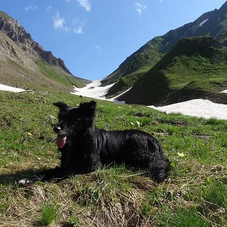 Apartament La Dimora Della Fontana *