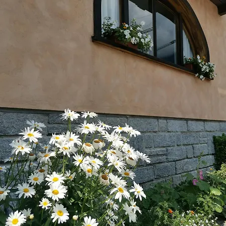 La Dimora Della Fontana * Mozzio