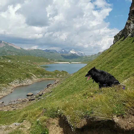 La Dimora Della Fontana Apartament Mozzio