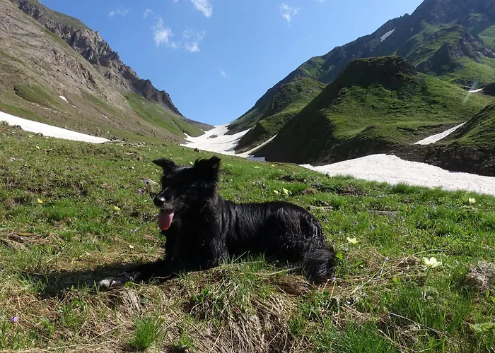Apartamento La Dimora Della Fontana *